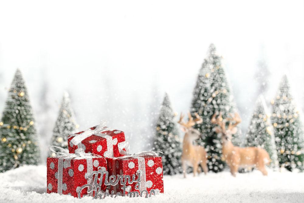 【施邦】诞愿有你一路相伴！